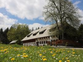 Gasthaus Staude, B&B din Triberg