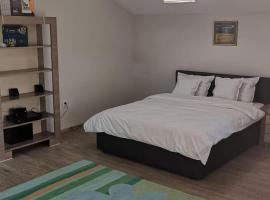 Viking Apartment Grigo, hotel v destinaci Kluž