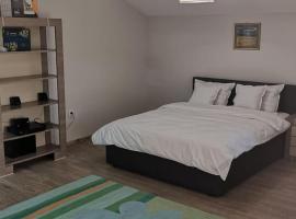 Vikings Grigo Apartaments, hotell i Cluj-Napoca