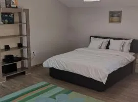 Viking Apartment Grigo