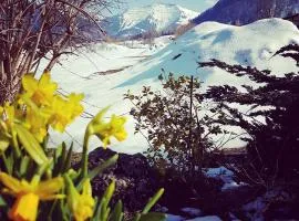 Ferienwohnung Hochgratblick