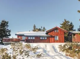 Three-Bedroom Holiday Home In Sjusjoen