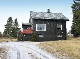 Three-Bedroom Holiday Home In Sjusjoen