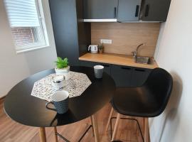 Oak house apartments, apartament cu servicii hoteliere din Kaunas