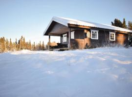 Gorgeous Home In Gol With House A Mountain View, feriebolig i Sanderstølen