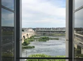 Blois, vue panoramique Loire