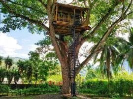 Casa en el Arbol