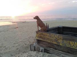 Wildwoof Beach Bungalow @ NW. 3 Blocks to Beach!, hotel que admite mascotas en North Wildwood