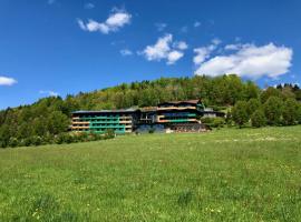 Natura Hotel Bodenmais - inkl Soft- und Heißgetränkeflat, ski resort in Bodenmais