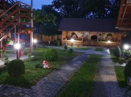 Casa Floare de Colt, B&B in C&acirc;rțișoara