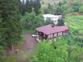 Farvana, country house in Didachara