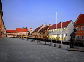 Hostel Ormož, hotel en Ormoz