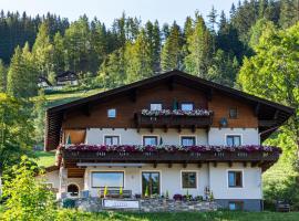 Pension Anni, hotel a Wagrain