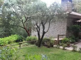 Cantinho do Bouço Velho