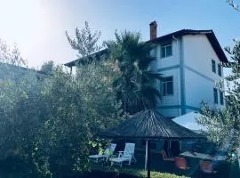 Villa Dede Nikolla