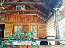 Guest house Laguna