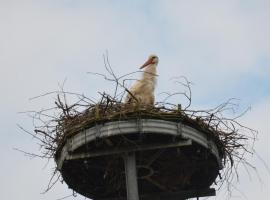 Storchennest an der Spree in Radinkendorf โรงแรมในเบสโกว์