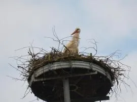Storchennest an der Spree in Radinkendorf