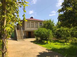 DEA, casa de hóspedes em Zugdidi