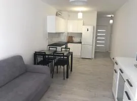 Apartament Winorośli