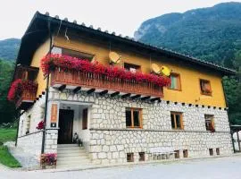 House Berdnik