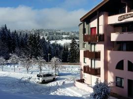 Appartement dernier étage au pied des pistes HIRMENTAZ, отель в городе Бельво