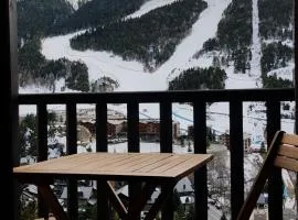 Soldeu Paradis Tarter Alt