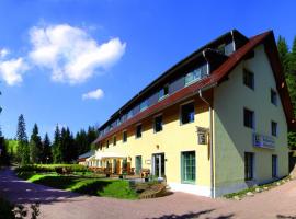 Waldhotel am Aschergraben, hotell sihtkohas Geising