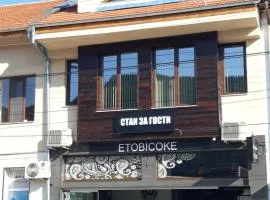 Etobicoke -Стаи за гости