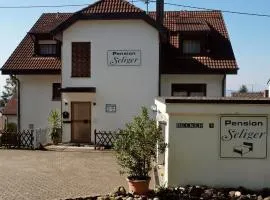 Pension Seliger