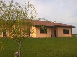 B&B LA DEA LUMACA
