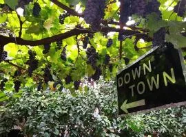 Downtown guest house