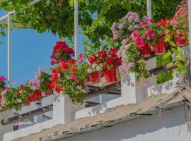 Apartamentos Rurales Las Chimeneas, ξενοδοχείο σε Capileira