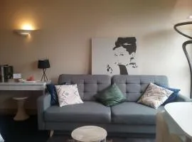 Le Flat Victoria -Canal & Cathédrale -40m2