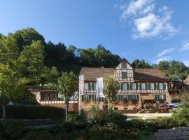 Hotel-Gasthof Zum Weyssen Rössle, hotel v destinácii Schiltach