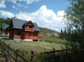 Chata POD WIERZBĄ - KASINA WIELKA