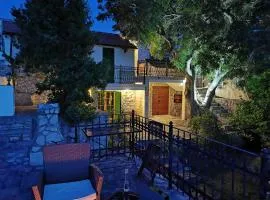 Authentic House Pelegrinka with Olive and Lemon Garden