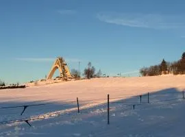 Goski & Gobike Winterberg 4K Netflix free