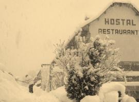 Hostal Restaurante Asador Pañart, hostel in Bielsa