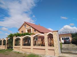 Pensiunea Burciu, guest house in Salcioara