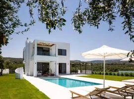 Vilana White Elegant Villa