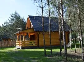 Zacisze Leśne- Domek do wynajęcia