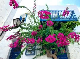 Next to the Bougainvillea!