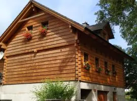 Apartmán U Šáfy, Krkonoše