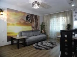 Студия в Центре СКАЛА