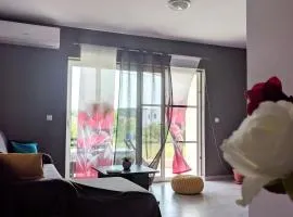 Apartment Anton