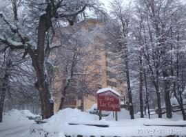 Bosque Nevado, apartment in Nevados de Chillan