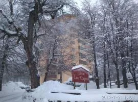 Bosque Nevado