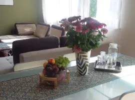Apartment Leśniczówka