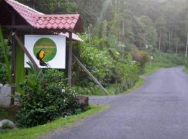 Pachamama Jungle River Lodge - Punta Uva, hotel in Puerto Viejo